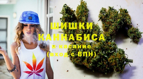 шишки Баксан