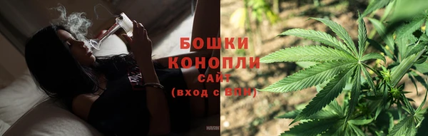 шишки Баксан