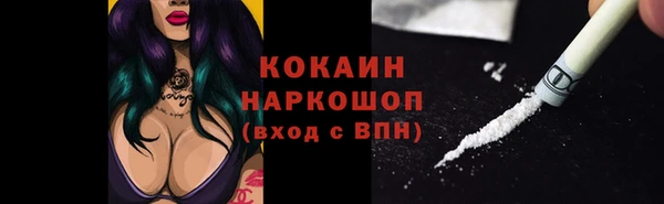 apvp Пестово