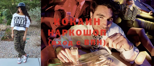 шишки Баксан